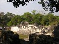 024. Tikal 14